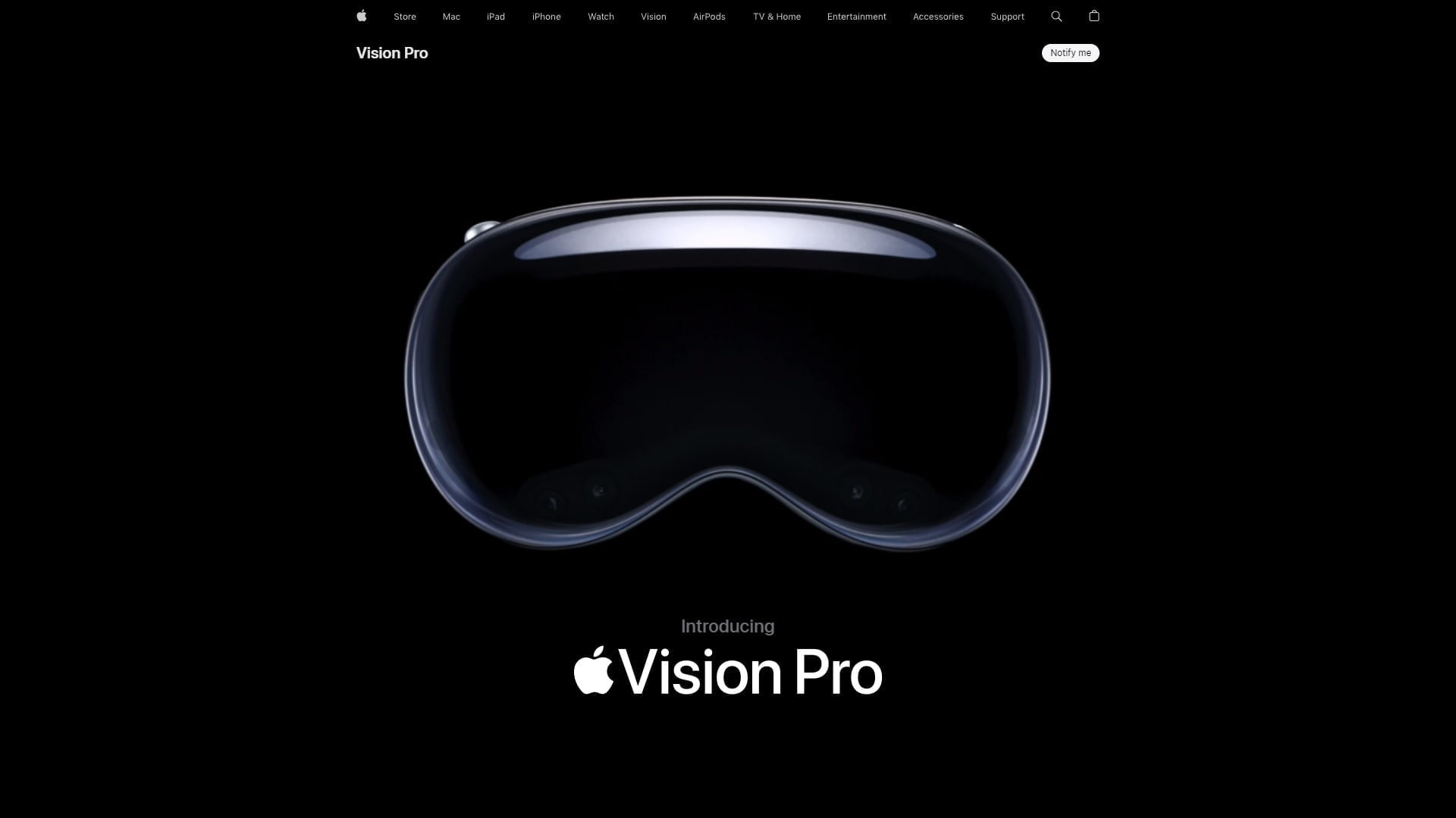 apple vision pro